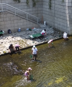 神田川親水テラス