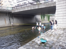 8月13日まで 神田川親水テラスを開放します小写真2