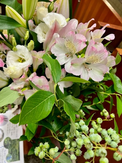 伊那市7月の花