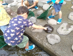 8月13日まで　神田川親水テラスを開放します小写真3