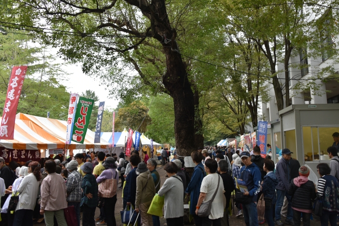 【終了】大新宿区まつり ふれあいフェスタ2023(新宿区主催)画像1