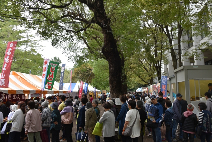 【終了】大新宿区まつり　ふれあいフェスタ2023（新宿区主催）画像1