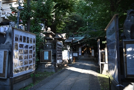 境内の展示の様子