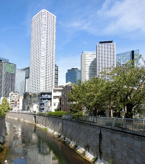 【令和5年12月配信】コミュニティのタネ ~マンション活動紹介~画像1