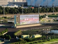写真:大型ビジョンに映った新宿つつじ賞