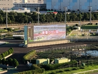 写真：大型ビジョンに映った新宿つつじ賞