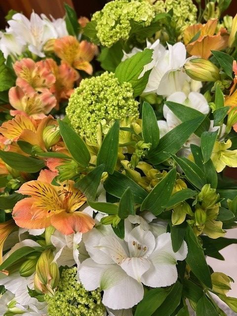 伊那市5月の花