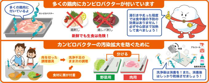 カンピロバクター画像
