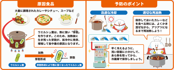 ウェルシュ菌画像