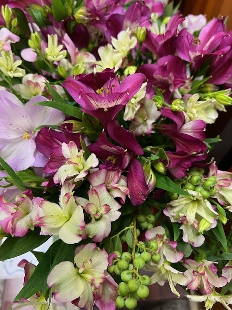 伊那市6月の花