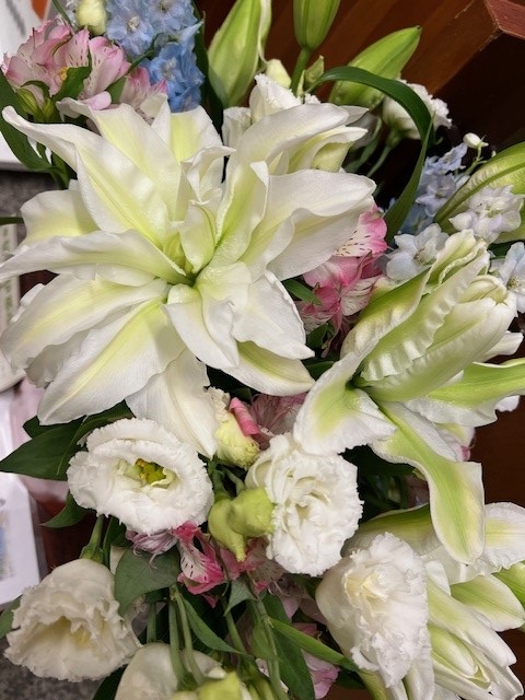 伊那市7月の花