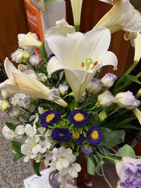 伊那市8月の花
