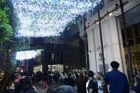写真4:イルミネーションの様子2