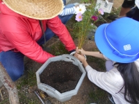 花を植える児童と地域協働学校の様子