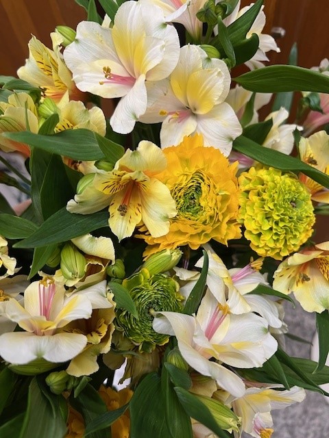 伊那市3月の花