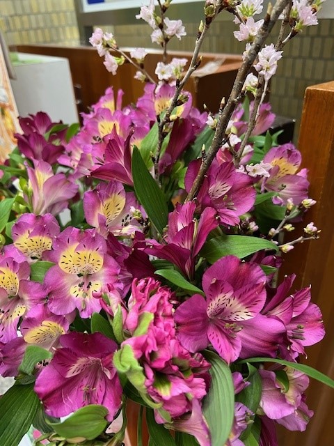 伊那市2月の花