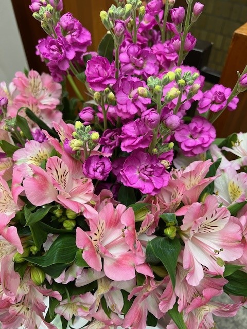 伊那市1月の花