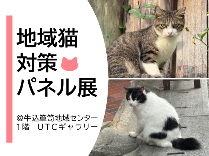 地域猫対策パネル展