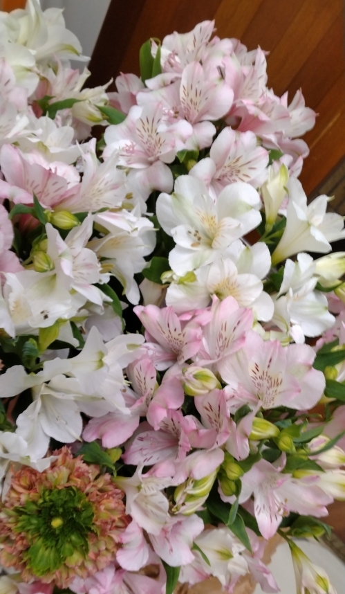 伊那市4月の花