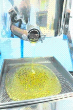 写真[2]：採蜜作業の様子[2]