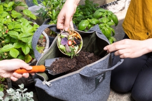 ベランダで「生ごみを捨てない暮らし」をはじめませんか?画像