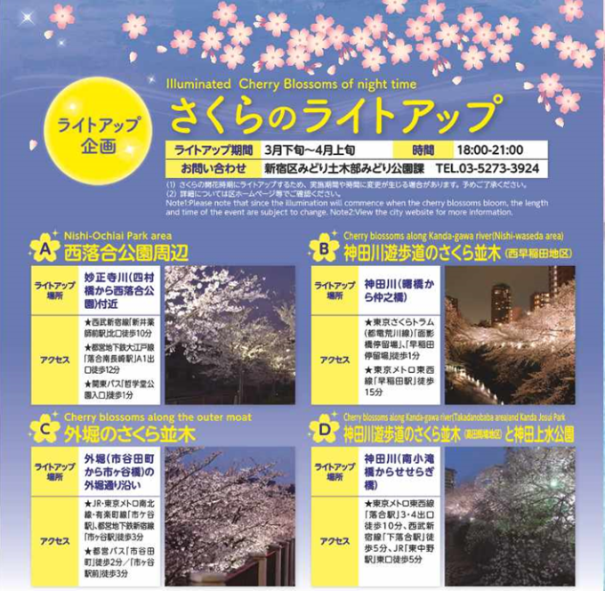 さくらのライトアップ画像