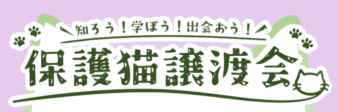 知ろう!学ぼう!出会おう! 保護猫譲渡会画像1