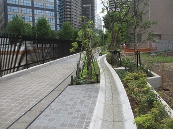 せせらぎの様子