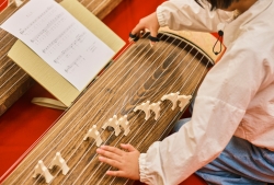 筝を演奏する様子