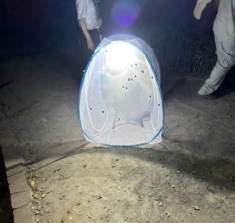ライトトラップ