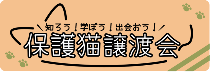 知ろう!学ぼう!出会おう! 保護猫譲渡会画像1