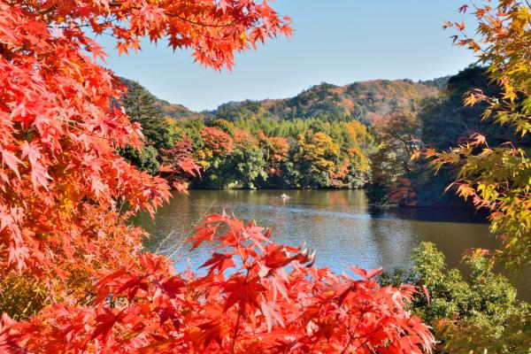 亀山湖の写真